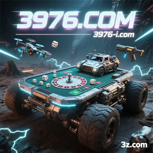 3976.com